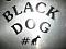 black_dog